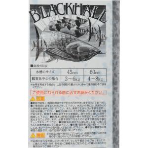 【全国送料無料】 SDシンセー ブラックホール...の詳細画像3