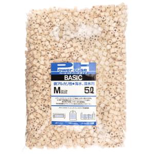 パワーハウス ベーシック（ハードタイプ） Mサイズ 淡水・海水両用 5