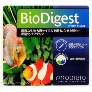 カミハタ カミハタ アンチレッド 500mL 海水用 赤ゴケ 藍藻 カミハタ カミハタ アンチレッド 500mL 海水用 赤ゴケ 藍藻