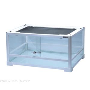 GEX（ジェックス） 【全国送料無料】 エキゾテラ グラステラリウム