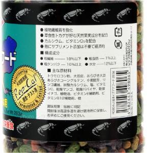 【全国送料無料】 ビバリア レップカル 成体イ...の詳細画像3