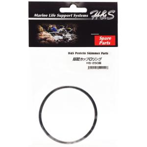 H&S 取寄せ商品 60Hz 西日本用 （新タイプ）H＆S プロテイン