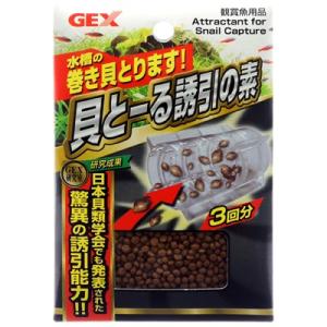 ジェックス グラステラリウム 6045 PT2610 爬虫類 ケージ エキゾ テラ