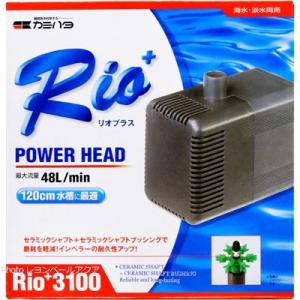 【全国送料無料】 カミハタ パワーヘッドポンプ リオプラス Rio+3100 50Hｚ 東日本仕様