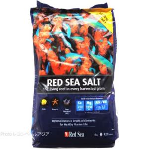 レッドシーソルト 22kg バケツタイプ 人工海水 他商品との同梱は