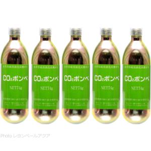 ウィスナ CO2ボンベ 74g×5本セット 水草育成用 まとめ買い