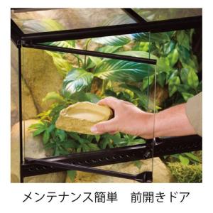 【全国送料無料】 GEX エキゾテラ グラステ...の詳細画像3