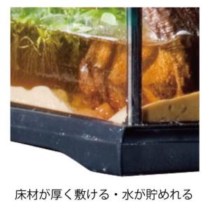 【全国送料無料】 GEX エキゾテラ グラステ...の詳細画像4