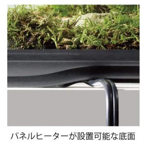 【全国送料無料】 GEX エキゾテラ グラステ...の詳細画像5