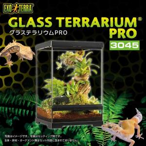 【全国送料無料】 GEX エキゾテラ グラステ...の詳細画像1