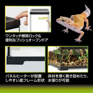 【全国送料無料】 GEX エキゾテラ グラステ...の詳細画像3