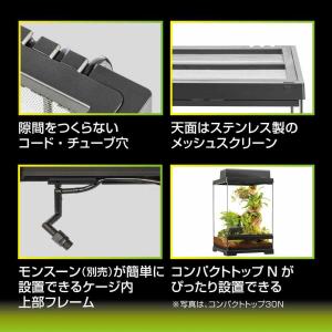 【全国送料無料】 GEX エキゾテラ グラステ...の詳細画像4