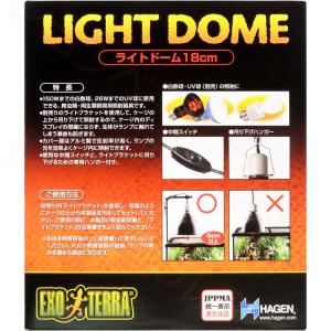【全国送料無料】 GEX エキゾテラ ライトド...の詳細画像1