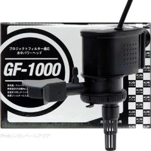 【全国送料無料】 アクアシステム 水中ポンプ GF1000 60Hｚ 西日本仕様  お取り寄せ中