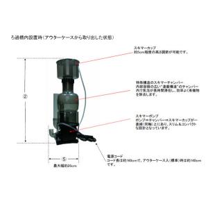 【全国送料無料】 カミハタ 海道達磨 プロテイ...の詳細画像2
