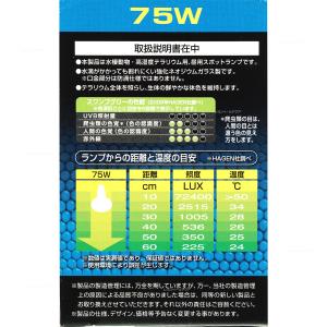 【全国送料無料】 GEX エキゾテラ スワンプ...の詳細画像1