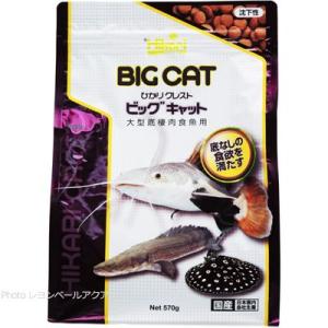 【全国送料無料】 キョーリン ひかりクレスト ビ...の商品画像