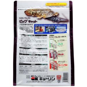【全国送料無料】 キョーリン ひかりクレスト ...の詳細画像1