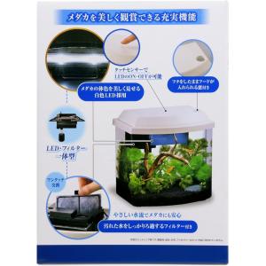 Gex メダカ元気 Led フィルター付やさしい水槽セット 在庫有り 同梱不可 Communicationdna Com