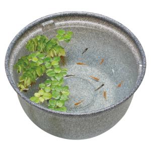 GEX（ジェックス） メダカ元気 メダカのための飼育鉢 みかげ420