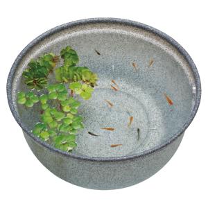 直径60cm メダカ鉢 飼育スタートセット GEX（ジェックス） メダカ元気 メダカのための飼育鉢 みかげ420