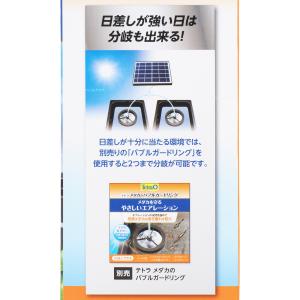 【全国送料無料】 テトラ メダカのソーラーブリ...の詳細画像3