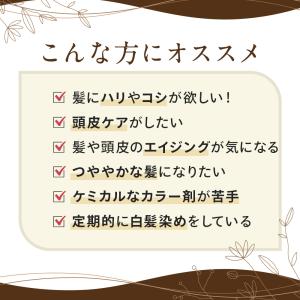 ヘナ 白髪染め インディゴ 黒 ヘナオレンジ ...の詳細画像1