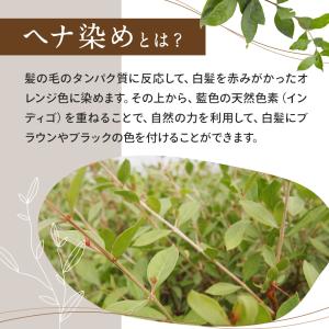 ヘナ 白髪染め インディゴ 黒 ヘナオレンジ ...の詳細画像2