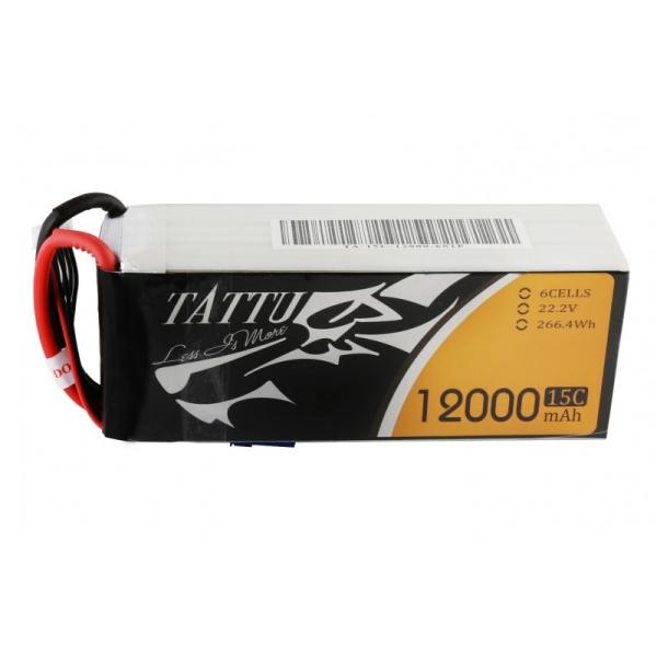 ACE TATUU 12000mA6S15C