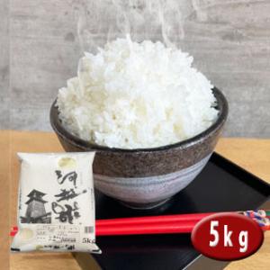 新米  5kg  コシヒカリ河越米【商標登録米】埼玉県産 検査一等