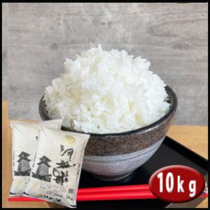 新米 10kg  コシヒカリ河越米【商標登録米】5kg×2袋 埼玉県産 検査一等