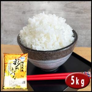 新米 米10kg 彩のきずな (5kg×2袋) 埼玉県産 白米 : 小江戸市場