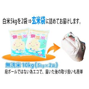 7年産 無洗米 10kg(5kg×2袋) 白米...の詳細画像1