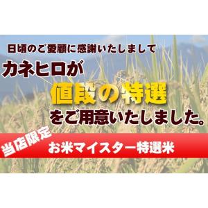 7年産 無洗米 10kg(5kg×2袋) 白米...の詳細画像2