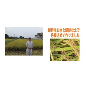 7年産 無洗米 10kg(5kg×2袋) 白米...の詳細画像4