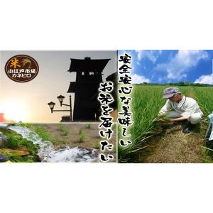 7年産 無洗米 5kg 埼玉県産 送料無料の詳細画像1