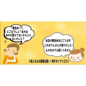 7年産 無洗米 5kg 埼玉県産 送料無料の詳細画像4