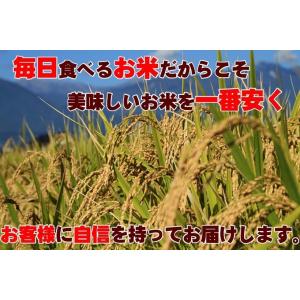7年産 無洗米 5kg 埼玉県産 送料無料の詳細画像5