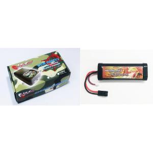 タミヤ オリジナル/EPS-D2/電動ラジコン用スタートパックD2（AC急速