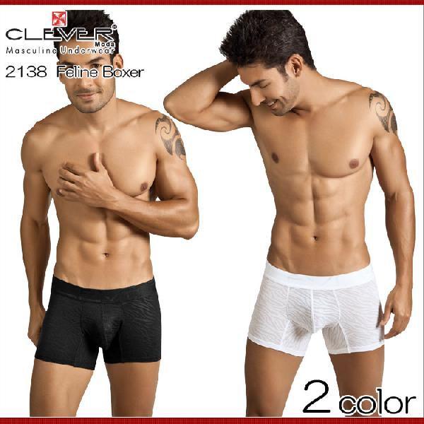 2012新作 カルバンクライン  メンズ下着 ローライズボクサーパンツ 素材 CLEVER クレバー...