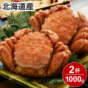 お中元 北海道産 ボイル毛がに姿 2杯 カニ 蟹 毛蟹 ギフト 産直 熨斗 贈り物 のし対応