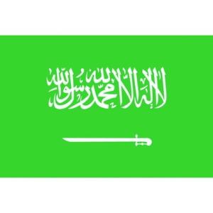 東京製旗 国旗No.1 70×105cm サウジアラビア 416302 代引不可｜rcmdhl