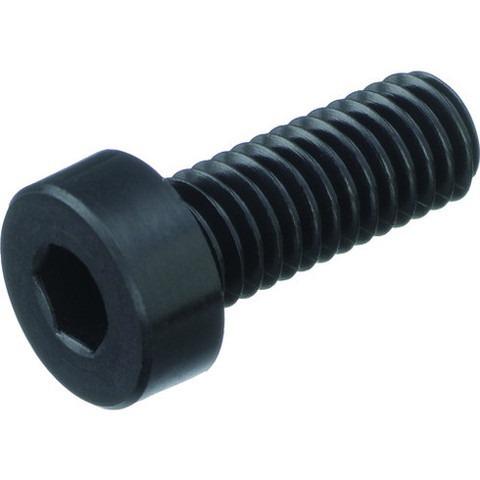 TRUSCO トラスコ ガラス繊維強化ポリアミドMXD6 RENY白 六角穴付低頭ボルト M4X10...