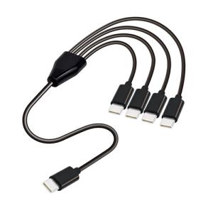 4in1 USB Type-Cケーブル 50cmの買取情報
