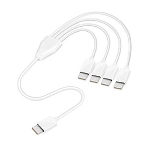 USB Type-C分岐ケーブル 50cmの買取情報