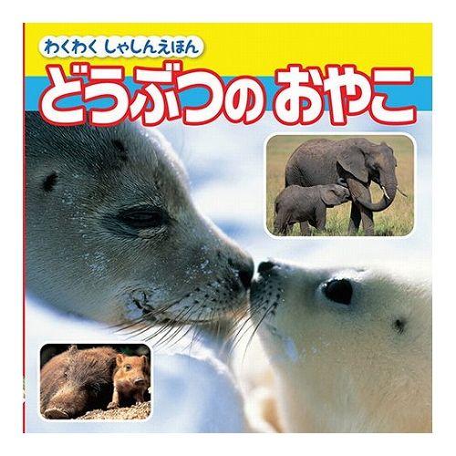 COSMOS コスモス わくわくしゃしんえほん どうぶつのおやこ CSS62067 代引不可 メール...