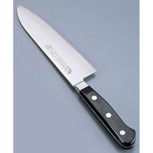 遠藤商事 SAパウダープロ100 三徳包丁 16.5cm APU03016｜rcmdhl