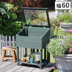 木製窓付グリーンハウス 温室 OWN オウン G...の商品画像