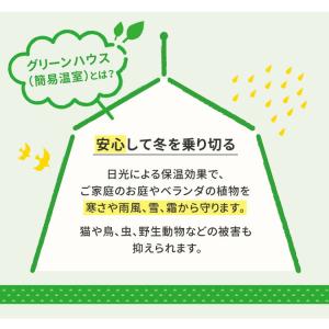 木製窓付グリーンハウス 温室 OWN オウン ...の詳細画像3