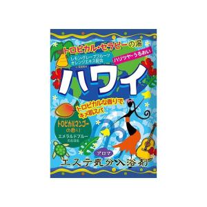 エステ気分アロマハワイ 代引不可 メール便(ゆう...の商品画像